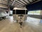 2026 Airstream 28RBT Base